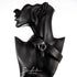 Set Halsband Nummer 12 in 25mm & Leine 120cm zum Sparpreis - SiaLinda.com